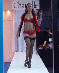 Allure lingerie show: Fashion Exposed, Sydney images Image 10