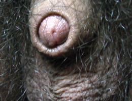 I love my small cock  gellery Image 5