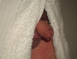I have got a small cock  gallery Image 1