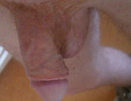 Lovely small cock set Image 2
