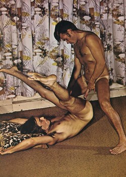 Vintage Male Porn