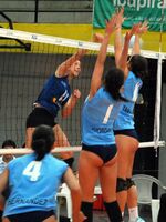girls volleyball spandex
