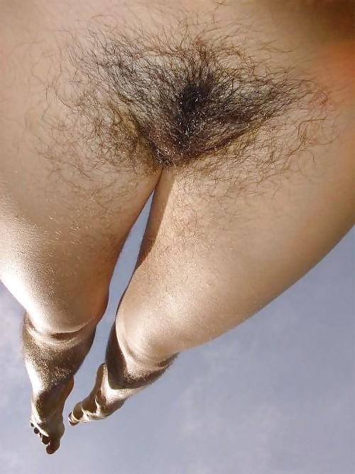 HAIRY THICKETS.